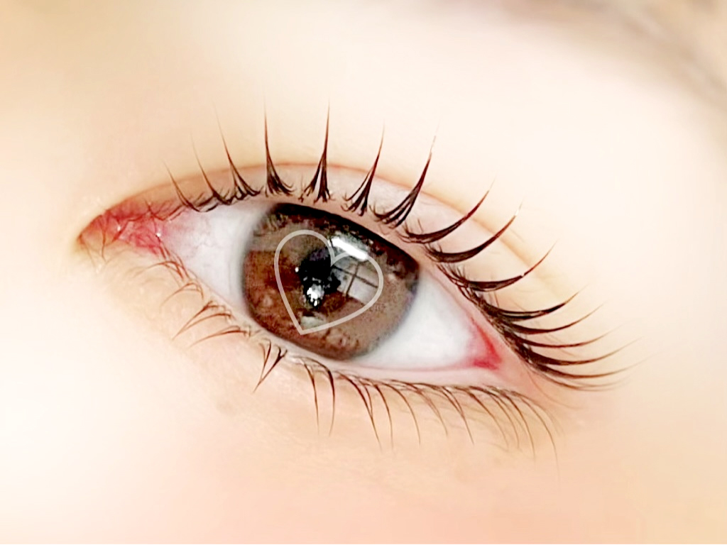 上下セットの画像